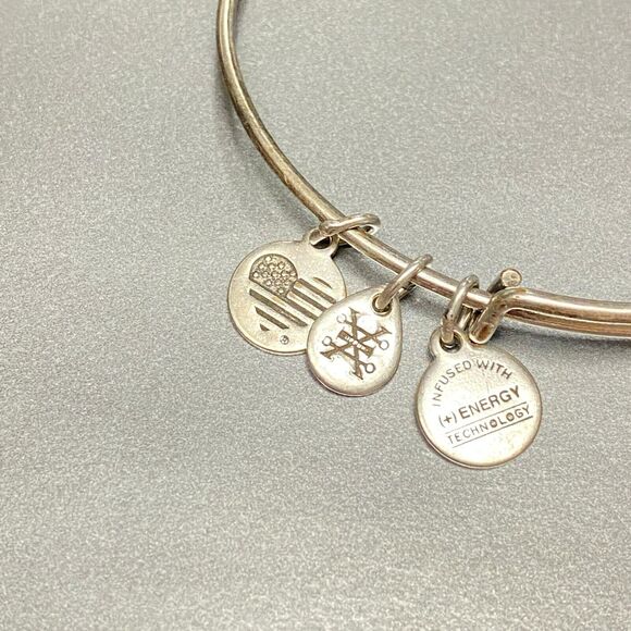 Alex and Ani Warmth Friendship Pineapple Adjustable Wire Silver Tone Bracelet - Picture 4 of 5
